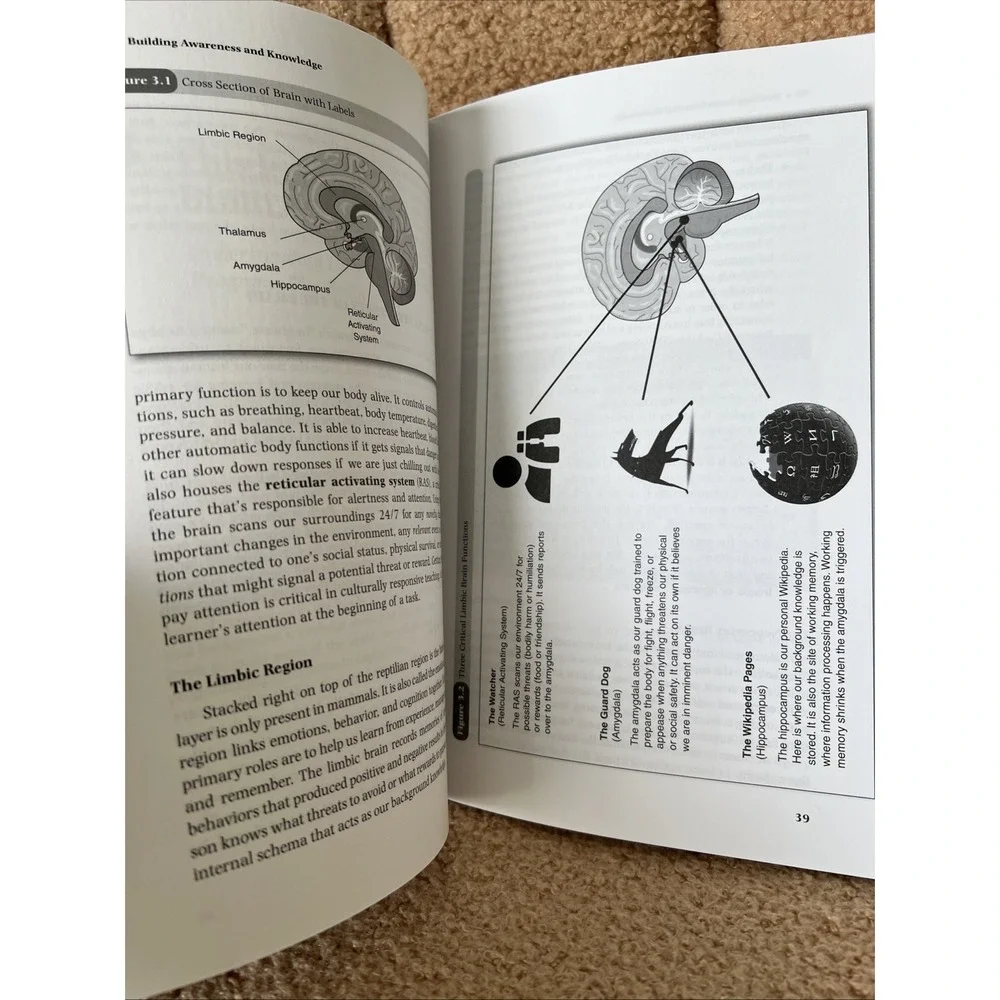 Culturally Responsive Teaching and the Brain : Promoting Authentic Engagement